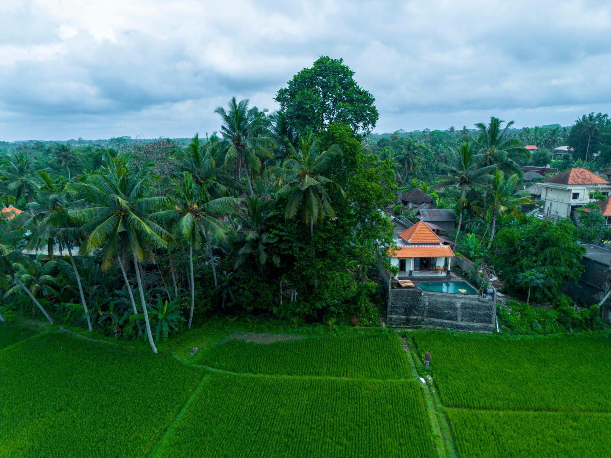 Jatining Ubud Villa & Spa Exterior foto